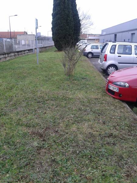 Entretenez vos Espaces Verts de copropriété ou particulier à Bourgoin-Jallieu