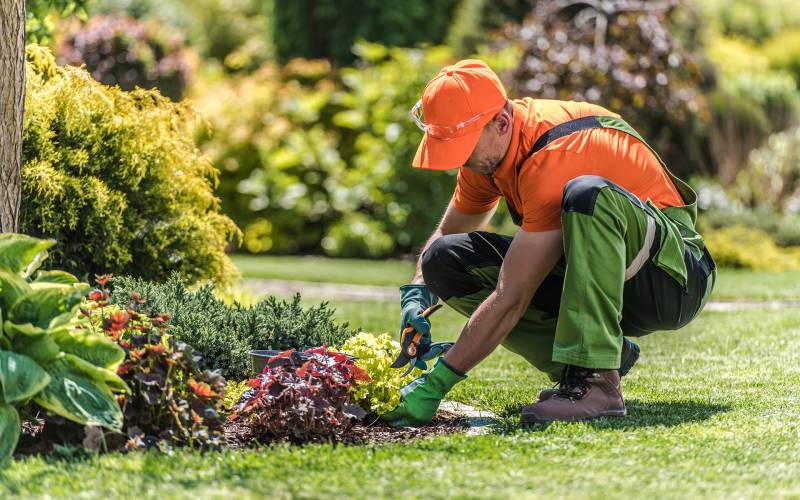 Tenus coopertos exilium sunt uncosqu