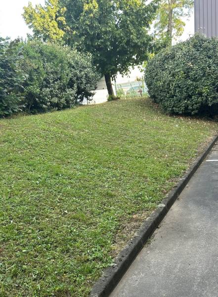 SNGA - transforme et entretient vos extérieurs avec soin