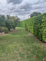 Notre zone d'activité pour ce service Entretien de jardin avec tonte de pelouse pour particuliers à